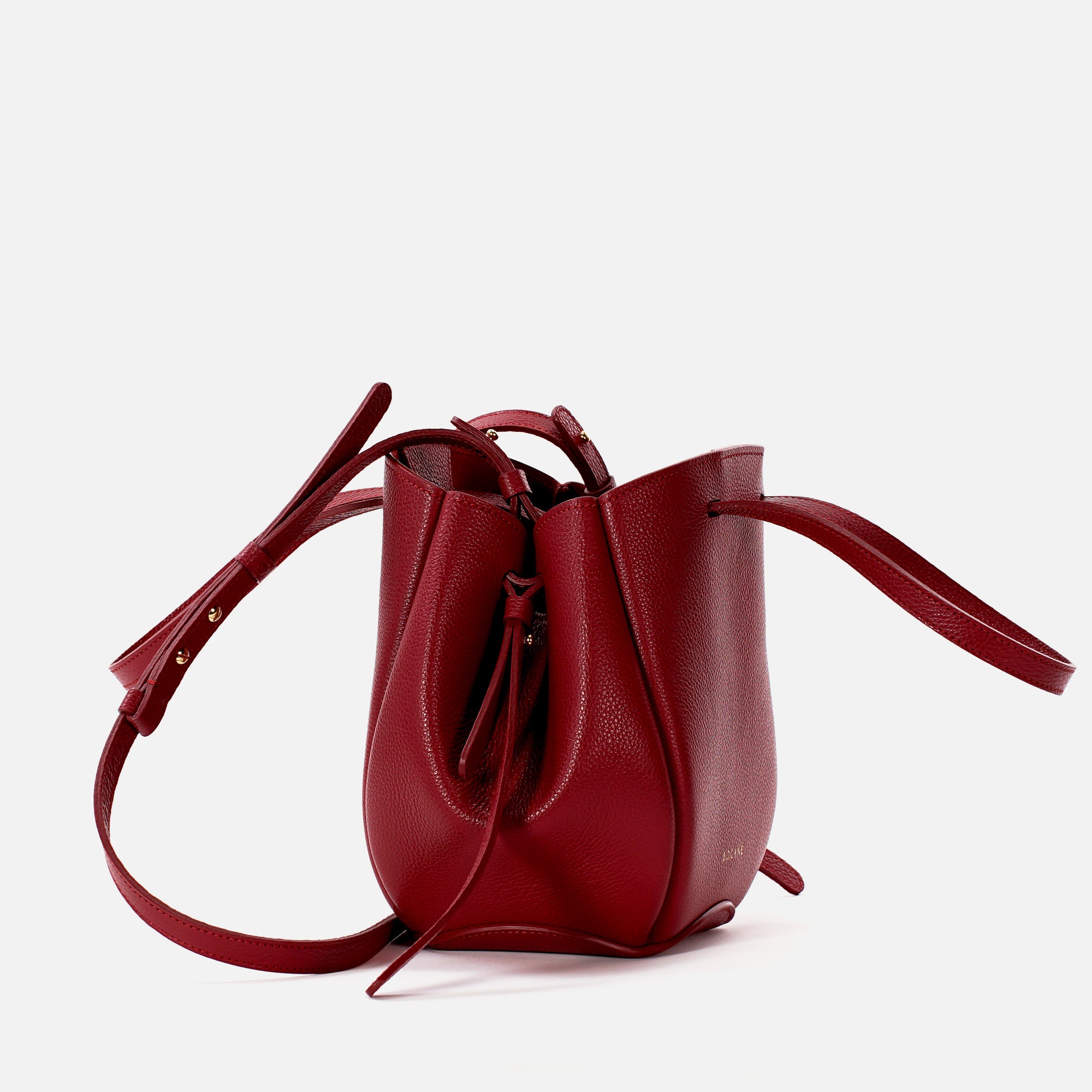 Mini Pétale Bag, Textured Leather, Red, with Extras